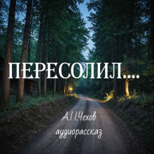 Пересолил