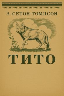 Тито