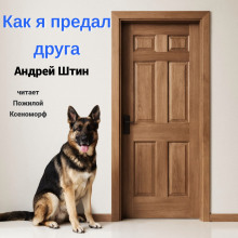 Как я предал друга