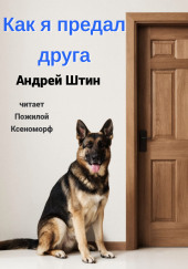 Как я предал друга