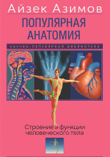 Популярная анатомия. Строение и функции человеческого тела