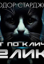 Кот по кличке Хеликс