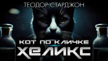 Кот по кличке Хеликс