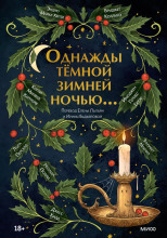 Однажды тёмной зимней ночью…