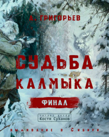 Судьба Калмыка. Том 5. Финал