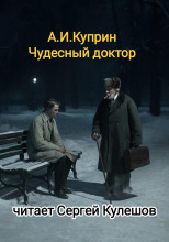 Чудесный доктор