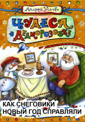 Как снеговички Новый Год встречали