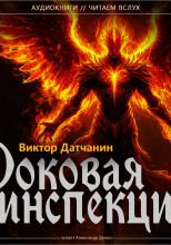 Роковая инспекция