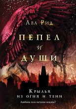 Крылья из огня и тени