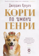 Корги по имени Генри