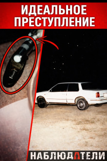 Идеальная подстава почти сработала