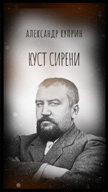 Куст сирени
